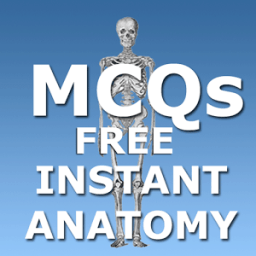 ikon Anatomy MCQs Free