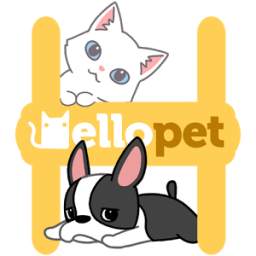 Hellopet - Cute cats, dogs and other unique pets