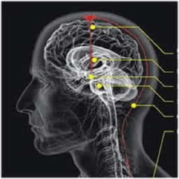Kekuatan Diri Manusia иконка