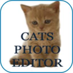 Cats Photo Editor 1.0