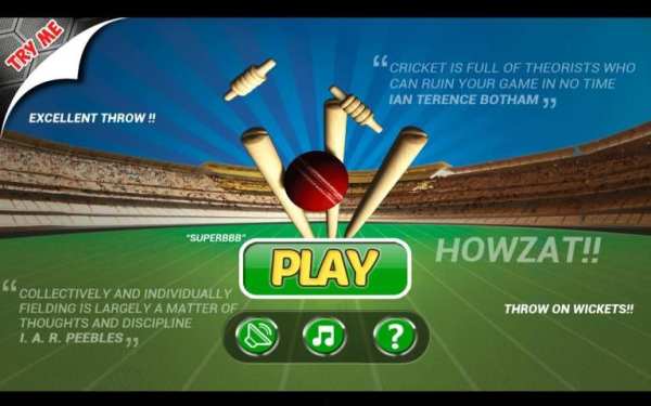 Cricket Run Out 3D screenshot 8