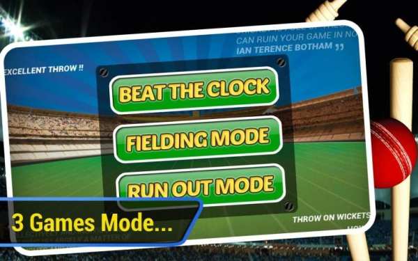 Cricket Run Out 3D screenshot 7