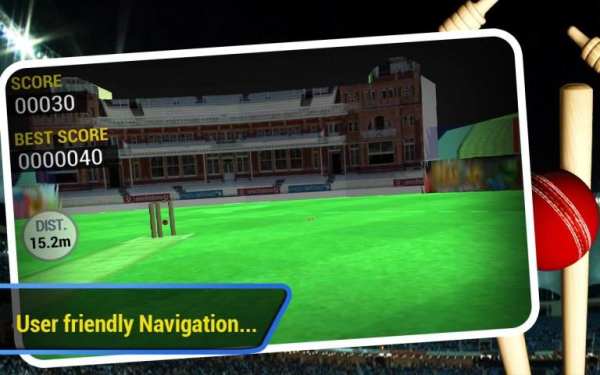 Cricket Run Out 3D screenshot 4