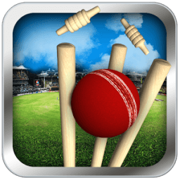 Cricket Run Out 3D icon
