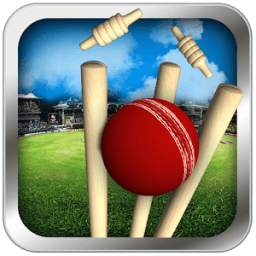Cricket Run Out 1.3