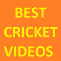 Best Cricket Videos