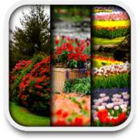 Garden Live Wallpapers on 9Apps