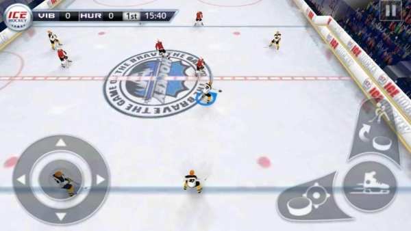 Ice Hockey 3D screenshot 6