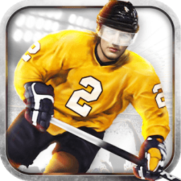 ikon Ice Hockey 3D