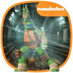 Ninja Turtles Shadow 1.0