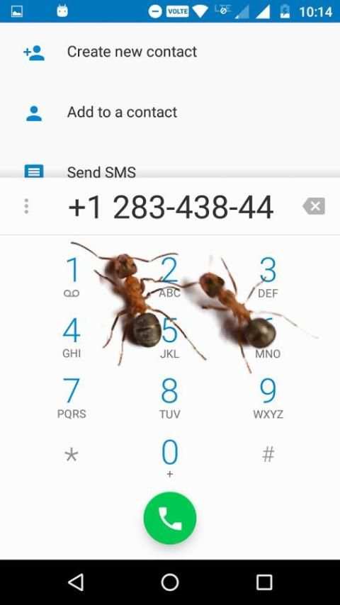 Ants on Screen (Funny Prank) screenshot 8
