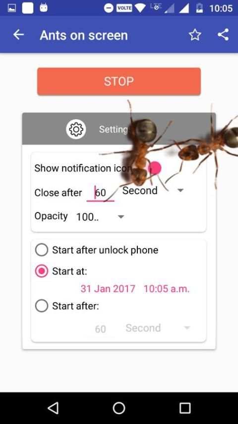 Ants on Screen (Funny Prank) screenshot 2