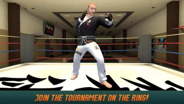 Karate Fighting Tiger 3D - 2 screenshot 5