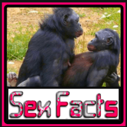 ikon Animal Sex Facts