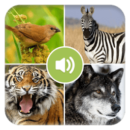 Real Animal Sounds आइकन