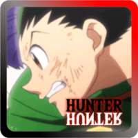 Guide Hunter X hunter New