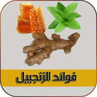 فوائد الزنجبيل بدون نت on 9Apps