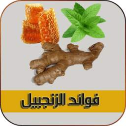 فوائد الزنجبيل 1.0