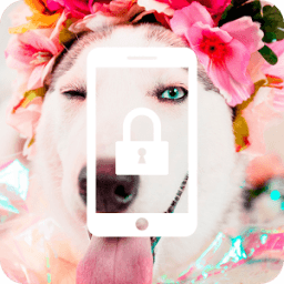 Husky Dog Cute Nice App Lock आइकन