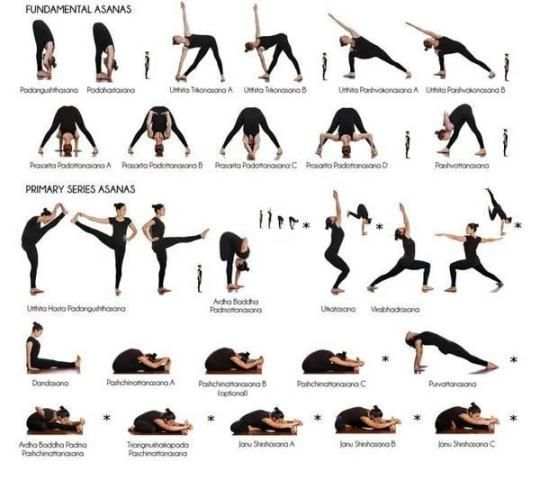 Ashtanga Yoga Tutorial screenshot 1