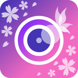 ikon YouCam Perfect 2018