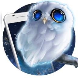 Cute Owl Theme: Can’t sleep night