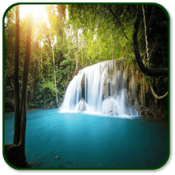 Forest Sounds أيقونة