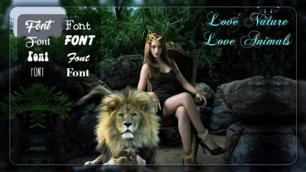 Wild Animal Photo Frame After effects 3 تصوير الشاشة