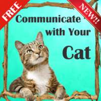 ** Cat Communicator Pro