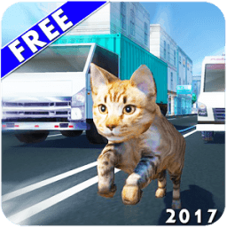 Run Run Talking Tom आइकन