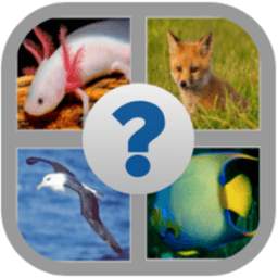 Animals Quiz Guess the Animals