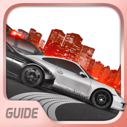 ikon Guide for Need for Speed Most Wanted