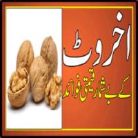 Akhrot Ke Fawaid Urdu Health