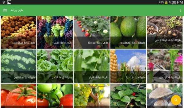 زراعة الخضروات-الزراعة المنزلية‎ screenshot 2