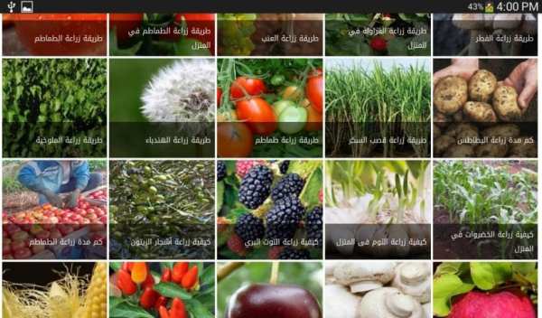زراعة الخضروات-الزراعة المنزلية‎ screenshot 1