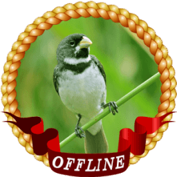 Cantos de Coleiro Mateiro icon