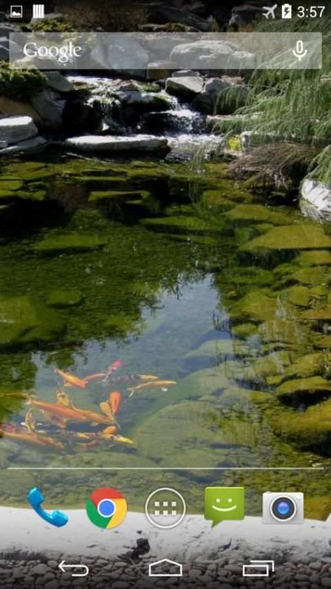 Koi Zen Garden Live Wallpaper 3 تصوير الشاشة