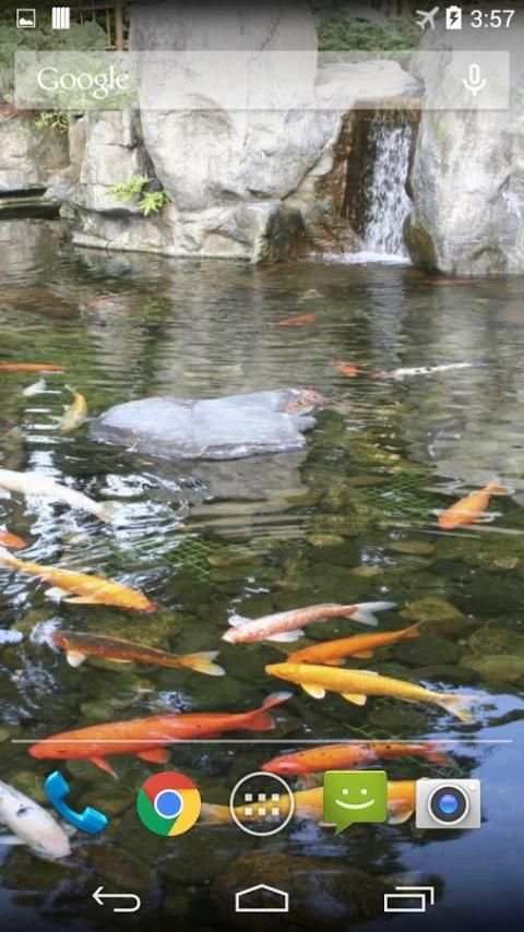 Koi Zen Garden Live Wallpaper 2 تصوير الشاشة