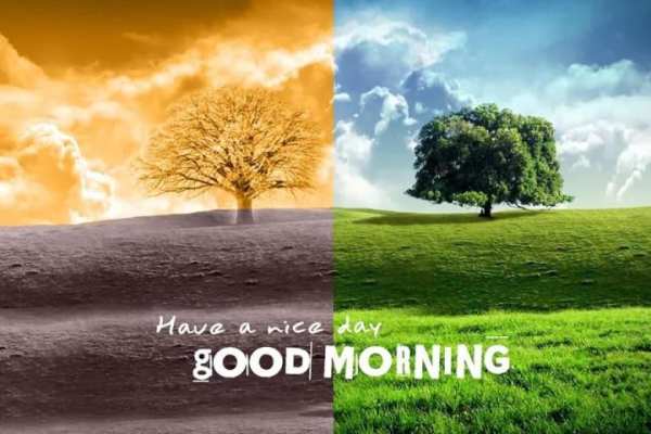 Good Morning Wishes-Images-Quotes-Messages-Sms screenshot 7