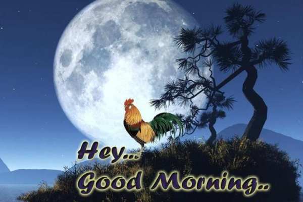 Good Morning Wishes-Images-Quotes-Messages-Sms скриншот 3