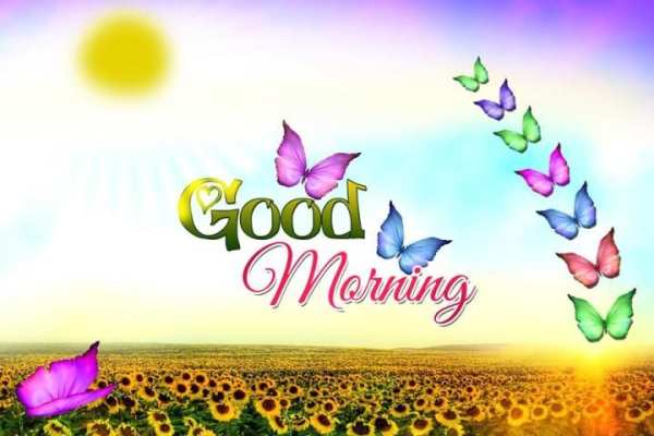 Good Morning Wishes-Images-Quotes-Messages-Sms скриншот 1