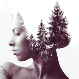 Double Exposure Pro 2017 иконка