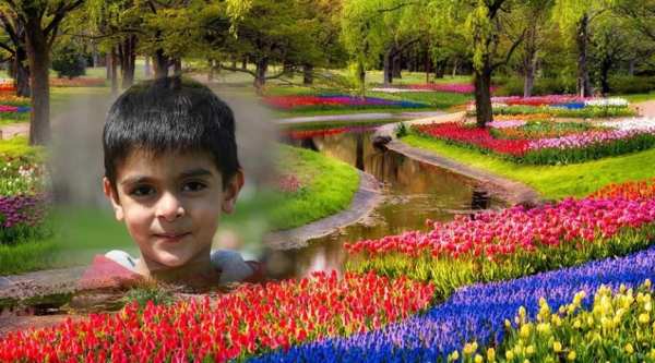 Garden Photo Frame скриншот 2