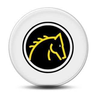 Best Free Horse Racing Tips скриншот 3