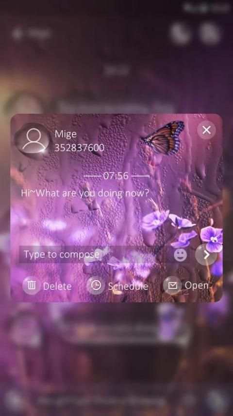 GO SMS ANNE THEME स्क्रीनशॉट 2