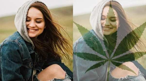 Weed Effects Photo Editor & Background Change 1 تصوير الشاشة