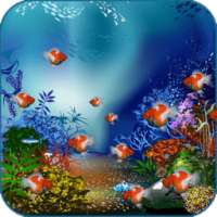 Aquarium Fish Live Wallpaper