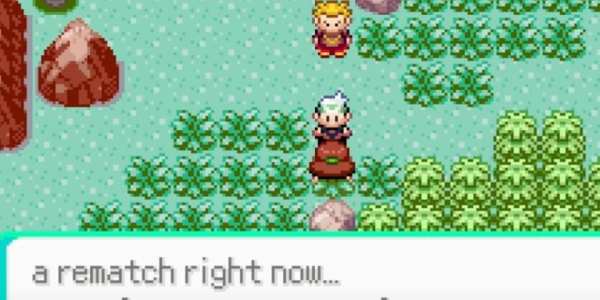 New Pokemon Emerald Tips screenshot 2