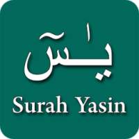 Surah Yasin : Translation & Tafsir