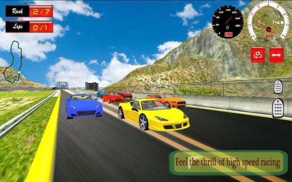 Turbo Car Rally Racing 3D screenshot 6